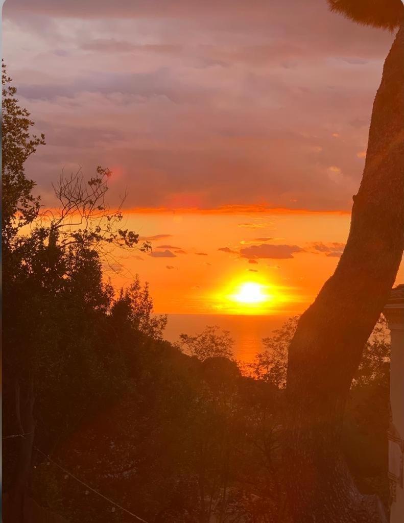 Antico Casale Il Fiorentino Montenero  Exteriér fotografie